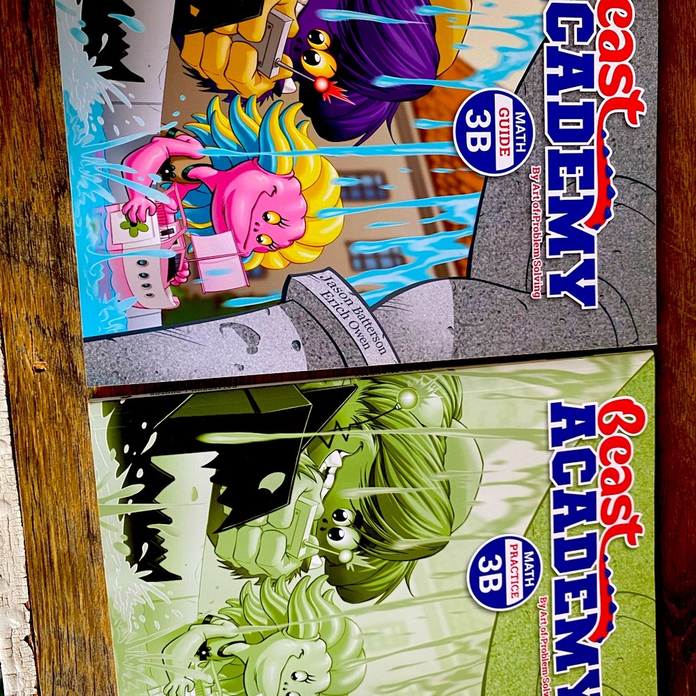 SOLD 🛑Beast Academy practice/guide 3rd grade